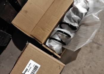 Sprężyny tył Golf IV DACO 814703 cena za komplet 2 szt