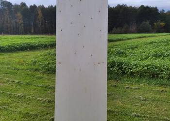 Płyty 62/220cm 15zł za sztukę