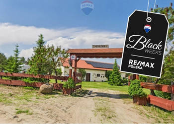 Ranczo w lesie z wyspą stawem basenem stajnią