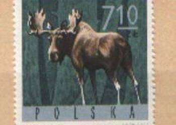 Zn. Fi 1494 ** 1965