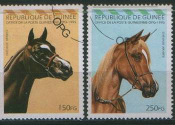 Zn. R. Guinea Mi 1562, 3 kas 1995
