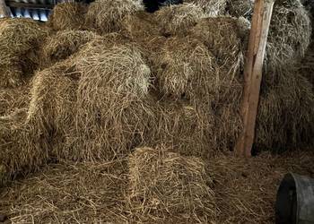 Słoma i siano w kostkach