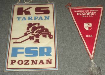 KS Tarpan FSR Poznań , ZKS Dozamet Nowa Sól - proporczyk