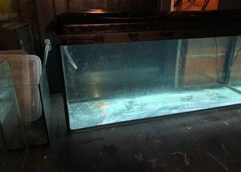 Akwarium 100 cm , 160 L , pokrywa oświetlenie led