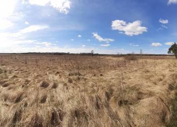 Ziemia rolna 2 hektary Brzóza gm.Głowaczów