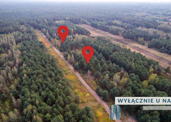 Oferta sprzedaży gruntu Czosnów 3000m2