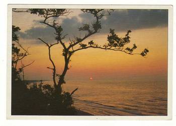 MORZE BAŁTYCKIE WŁADYSŁAWOWO