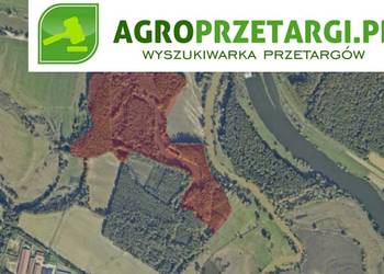 Dzierżawa 5,26 ha zbiornika wodnego