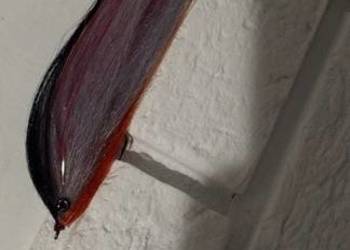 Strimery Szczupak/Głowacica