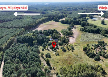 Działka w lesie 3006 m² | pozwolenie na budowę