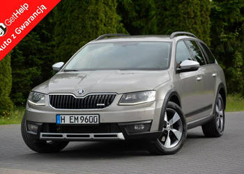 Škoda Octavia 2.0TDI(184M)Scout Duża Navi Kamera Bi-Xenon Ledy 2xParkt Aso…