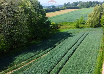 Działka z lasem i widokiem na góry 4 ha