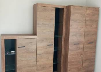 Meble do salonu dąb lefkas