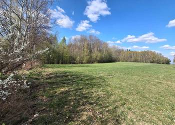 Lipnica dolna Działka rolno/leśna