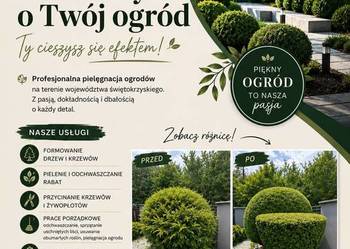 Pielęgnacja ogrodu |formowanie krzewów| |przycinanie żywopłotów| |koszenie|