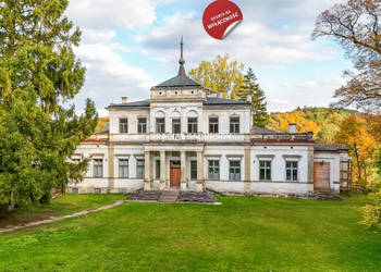 Sprzedam lokal Działoszyce 982m2