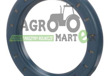 V31794100, X550127401000 USZCZELNIACZ WAŁKA ATAKUJĄCEGO AGCO