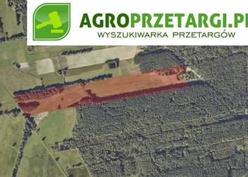 Dzierżawa 10,61 ha gruntu rolnego