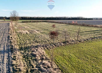 Ponad hektar przestrzeni 40 minut od Warszawy