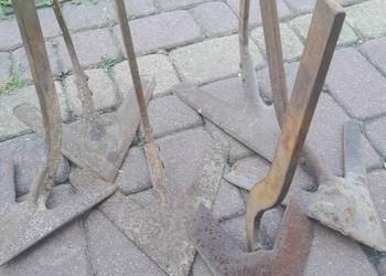Redlice pazurki opielacza gesie stopki