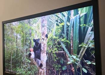 monitor telewizor lg ips led 27 tv 75hz