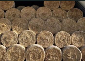 Słoma pszenżytnia 120x120