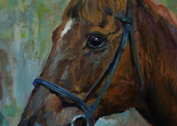 Obraz olejny Koń 30x40