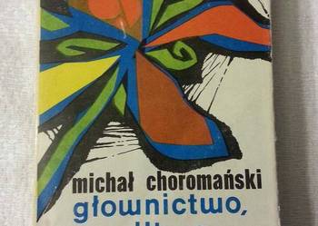 Michał Choromański: głownictwo, moglitwa i praktykarze