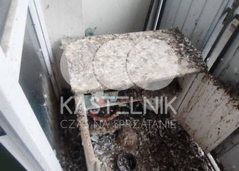 Sprzątanie po gołębiach Kwidzyn – Kastelnik, mycie balkonów, strychów