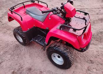 Quad Zipp 100cc duży i masywny.