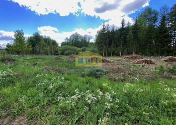 Dwie działki po 4320 m2, Bobrowo gm. Złocieniec