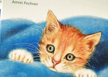 Książki po francusku cena za sztukę antykwariaty szkolne