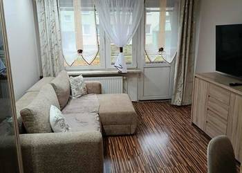 wynajmę mieszkanie 39 mkw na parterze ul. Łukasiewicza 22/1 Płock