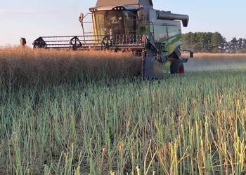 Obciążniki kombajn Fendt 6275 Laverda Massey Ferguson AGCO