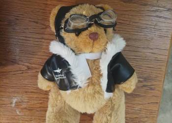 Pluszak Miś Teddy pilot