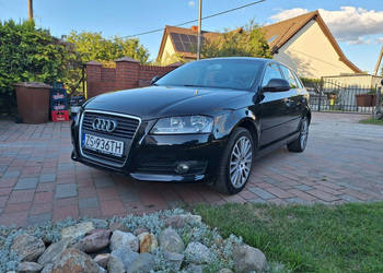 Audi A3 Sportback Klimatronik Serwisowany Stan Bardzo Dobry 8P (2003-2012)