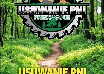 Usuwanie Pni Drzew Przez Frezowanie