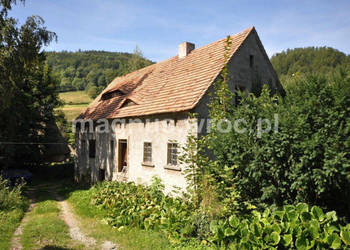 Na sprzedaż działka siedliskowa w Grzmiącej, ze starym budynkiem gospodarc…