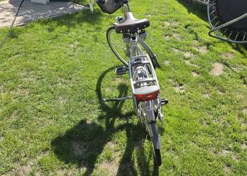 Gazelle Medeo Excellent damski
