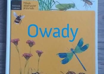 Młody obserwator przyrody - Owady