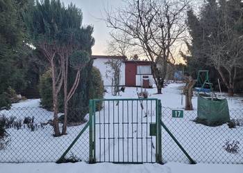 Zadbana działka rekreacyjna ROD „Wiosenka” – spokojna, zielona