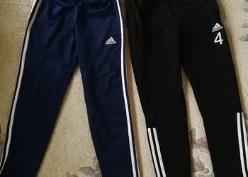 adidas puma champion spodnie dresowe treningowe Usa oryginaly