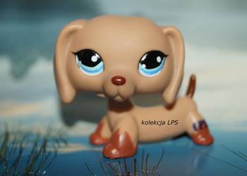 LPS Littlest Pet Shop jamnik #1211 oryginalny pop oryginał