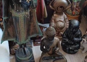 BUDDY CZTERY NAJWYŻSZA 118CM NAJNIŻSZA CZARNA 44CM WSZYSTKIE 550ZL