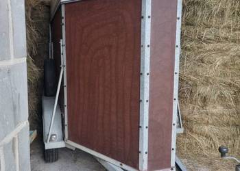 Przyczepa konna 1,5 konia