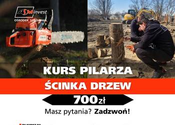 Kurs na pilarkę pilarza (pilarka do ścinki drzew) PILARZ