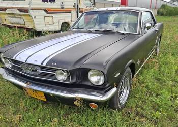 Mustang GT 289 z 1966 roku - pełna renowacja.