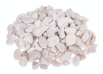 Otoczak grecki White
