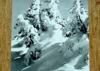 WIDOK ZIMOWY - FOT. OSUCHOWSKI