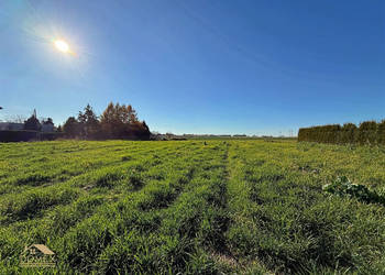 Działka Pszczyna 989 metrów